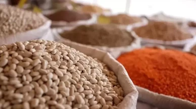 Türk gıdaları dünya sofralarında! Hububat ihracatında 7,1 milyar dolarlık ivme