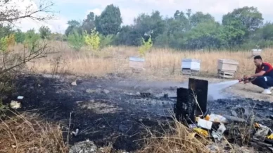 Kütahya’da arazi yangınında 7 arı kovanı kül oldu