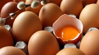 Yumurtanın tazeliği nasıl anlaşılır?