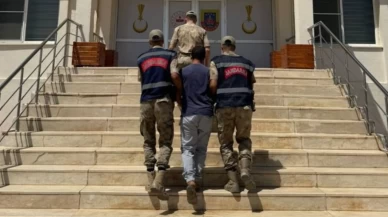 Mardin’de hayvanlara ilişkin uygunsuz paylaşım yapan şahıs gözaltına alındı