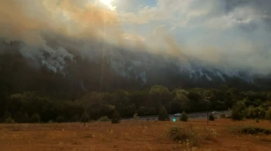 Bolu’da orman yangını! Mengen-Devrek yolu trafiğe kapatıldı