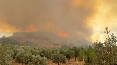 Denizli'de orman yangını