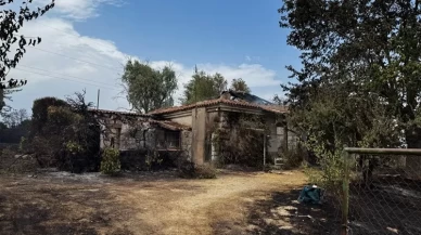 İspanya'da orman yangınları felakete yol açtı!