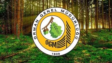 Yangın sonrası ormanlar yeniden yeşerecek: OGM’den kritik açıklama
