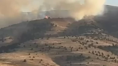 Sivas’ta anız yangını ağaçlık alana sıçradı