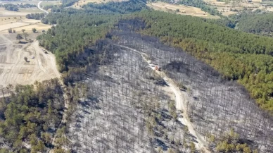 Bakan Yerlikaya: 2 bin 200 kişi tahliye edildi