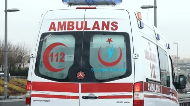 Rize'de arının soktuğu kişi hayatını kaybetti
