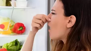Kimyasal ürünlere gerek yok! Buzdolabındaki kötü kokulara kesin çözüm