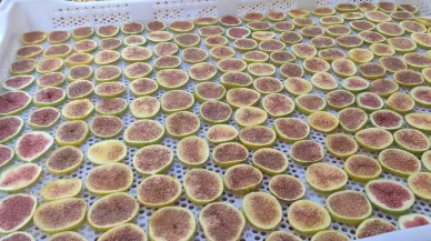 İncir cipsi sofraların yeni gözdesi oldu