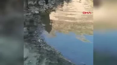 Bitlis'te derede balçığa saplanan genç boğuldu