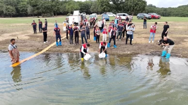 İstanbul’daki göletlere 3,7 milyon yerli üretim sazan yavrusu bırakıldı