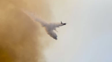 Muğla'da orman yangını! Alevler yerleşim yerine yaklaşıyor