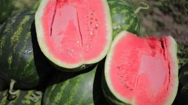 Karpuz alırken nelere dikkat etmelisiniz? İşte tatlı karpuzun püf noktaları