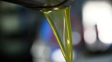Gerçek ve kaliteli zeytinyağı nasıl anlaşılır?