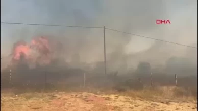 Bartın Amasra’da orman yangını 2 saatte kontrol altına alındı