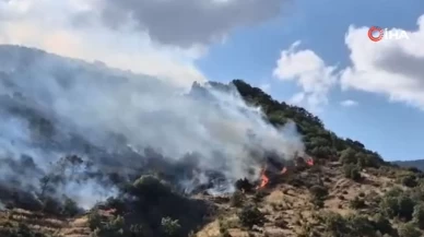 Tekirdağ'da sabah söndürülen yangın, öğleden sonra yeniden başladı