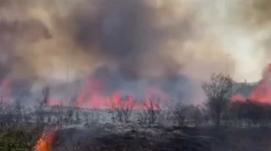 Düzce'de yol kenarındaki yangın güçlükle söndürüldü