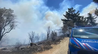 İzmir'de orman yangını