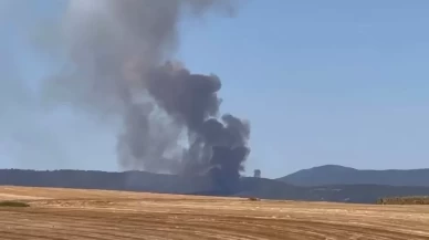 Bursa'da orman yangını...