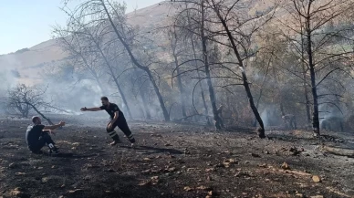 Şanlıurfa'da çıkan orman yangını söndürüldü