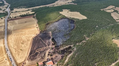 Uşak'ta ormana sıçrayan anız yangını söndürüldü