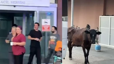 Çorlu Devlet Hastanesi'nde beklenmedik misafir