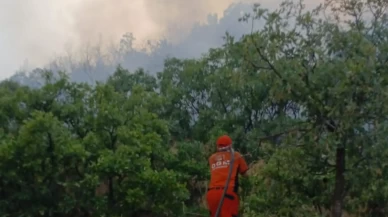 Bingöl'de çıkan orman yangını söndürüldü