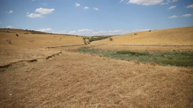Besiciler, meralardaki hayvanlarına tankerlerle su taşıyor