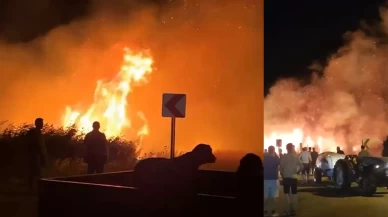 Bursa'da yangınların biri bitiyor biri başlıyor