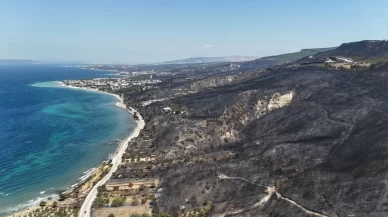Çanakkale'de yangından geriye bu tablo kaldı! İşte o acı görüntüler