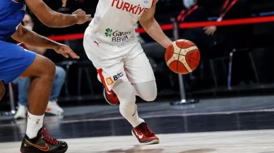 A Milli Erkek Basketbol Takımı, 2025 Avrupa Şampiyonası'nda