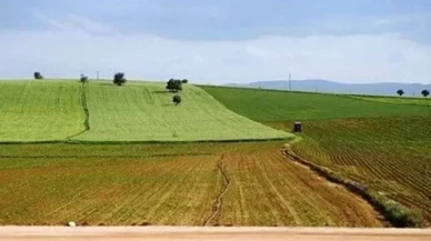 Ekilmeyen tarla kiralanacak