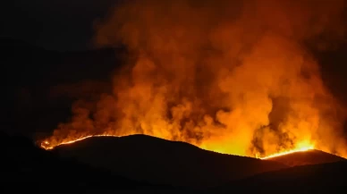 California'da orman yangını!