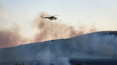 Balıkesir'in Susurluk ilçesinde orman yangını
