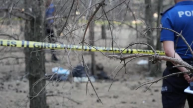 Erzurum'da ormanlık alanda erkek cesedi bulundu