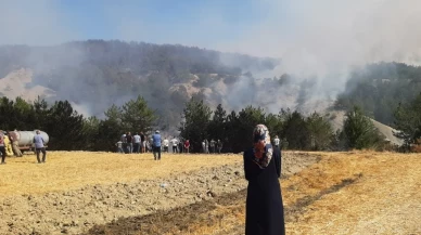 Bolu’daki orman yangınıyla ilgili 1 kişi tutuklandı