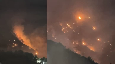 Denizli’de başlayan yangın Aydın'a sıçradı! Rüzgarın yönü yangının seyrini belirleyecek