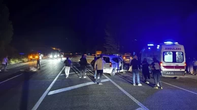 Bingöl'de ata çarpan hafif ticari araçtaki 1 kişi hayatını kaybetti