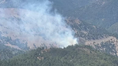 Adana'da orman yangını