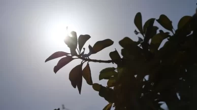 Bir yanda sıcaklık rekoru bir yanda yağış müjdesi
