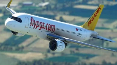 İstanbul'da leylek sürüsüne giren uçak, Sabiha Gökçen Havalimanı'na acil iniş yaptı