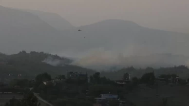 Adana'da orman yangını!