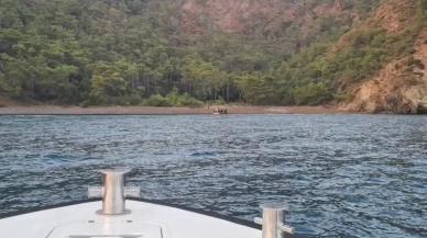 Balear Adaları'na 48 saatte 337 düzensiz göçmen geldi