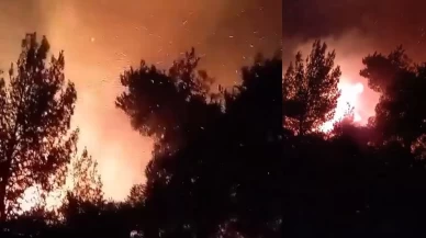 Çanakkale'de ekiplerin gece boyunca yangın mücadelesi sürüyor