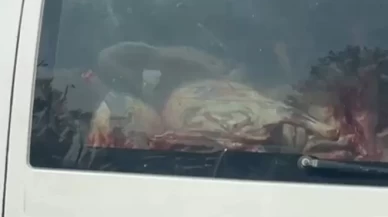 Adana'da mide bulandıran görüntü