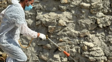 Akrepler köyü istila etti, yetkililer harekete geçti