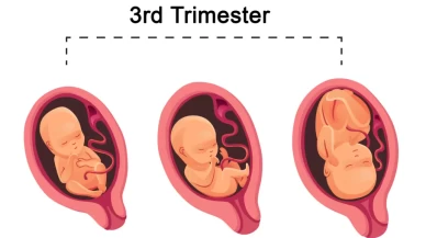 Gebelik sürecinde trimester dönemleri ne anlama geliyor?
