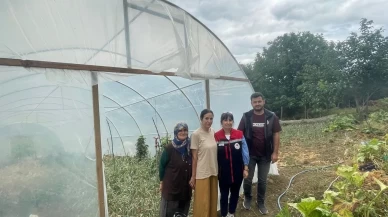 Sinop’ta modern seralar faaliyete geçti
