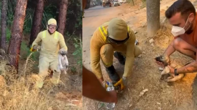 Kepez’de orman yangını! Alevler arasından gelen kurtuluş hikayesi