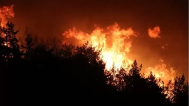 Hatay ve Mersin'de korkutan yangın: Müdahaleler sürüyor